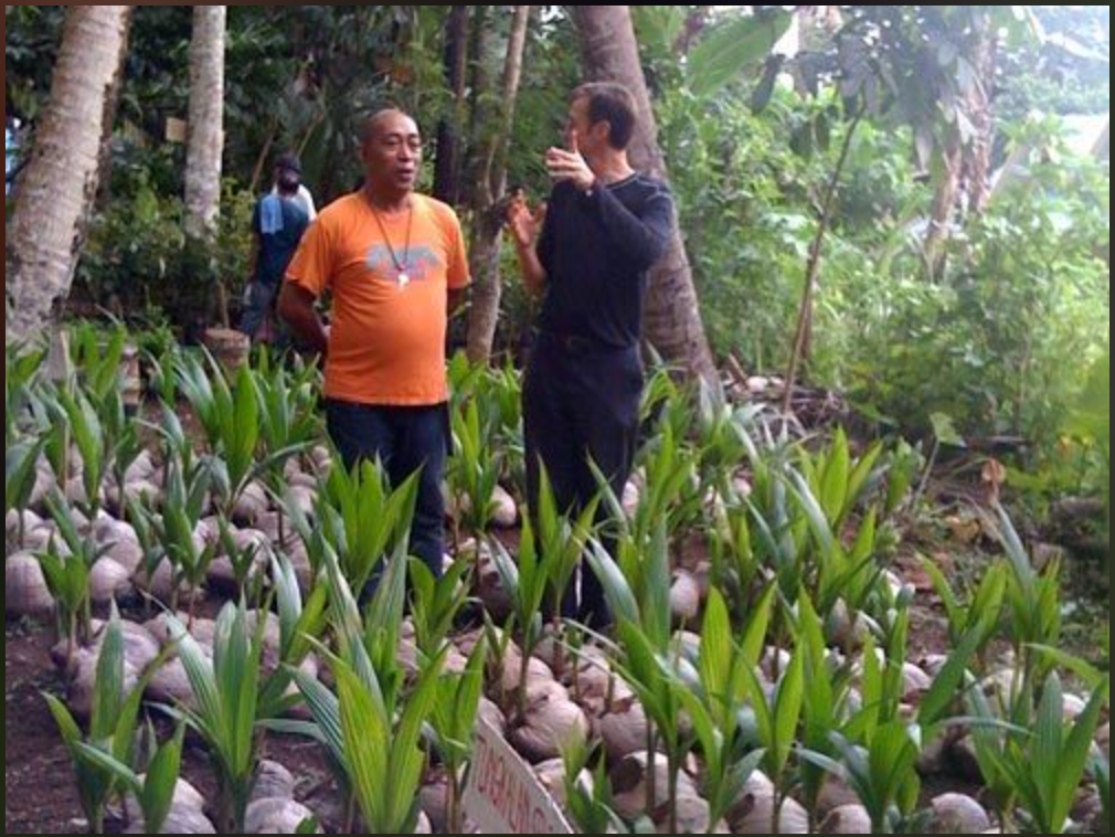 From Kitchen Staple to Laundry Revolution: Why I'm Bringing Coconut Power to Your Wash Day